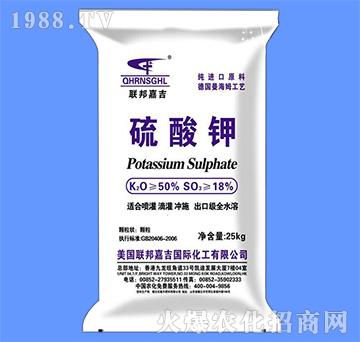 �����-��μ�