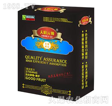 ����Ԫ��-��(qi��ng)о��(gu��)�H