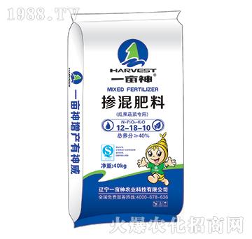 �Ϲ��߲ˌ����͓����1