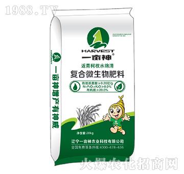 �ͺ�΢�������-�����