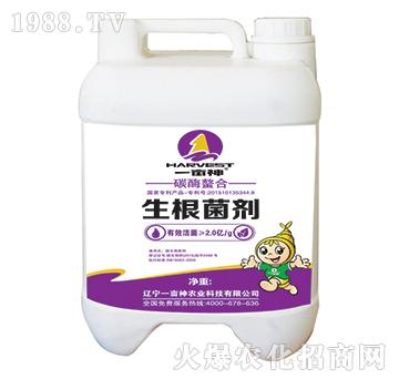 ̼ø������������-һ��