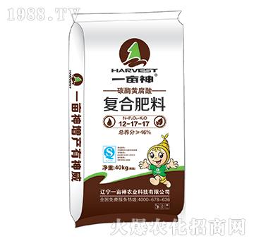 ̼ø�S����ͺϷ�12-