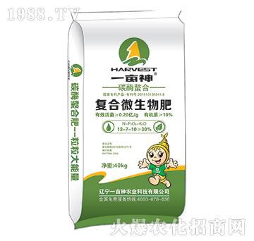 ̼ø���Ϗͺ�΢�����-