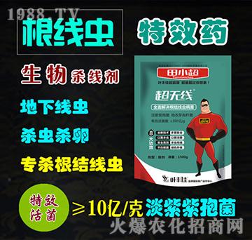 ���Y���xˎ�������-���o��-��С��