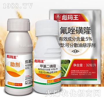 �묔���M��-�к����_