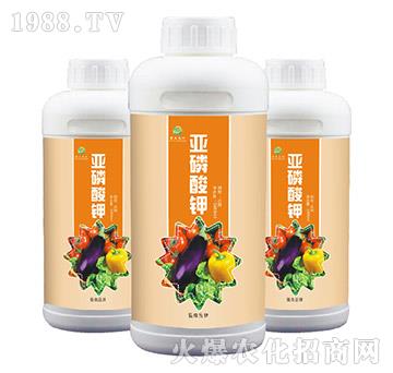 �������-��ɭ�r(n��ng)��