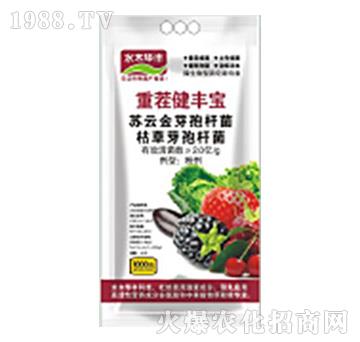 �ز罡�S��-�滯���h