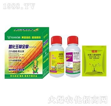 �滯���ȫ�ã�1+1+1+1���ײ�-�滯���h(yu��n)