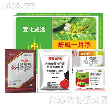 ��ʭһ��-�滯���h