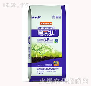 �ͺ�΢�������-���`��-���r��