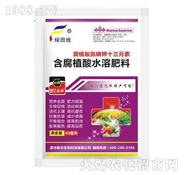 ��ֳ�ᵪ���ʮ��Ԫ�أ�