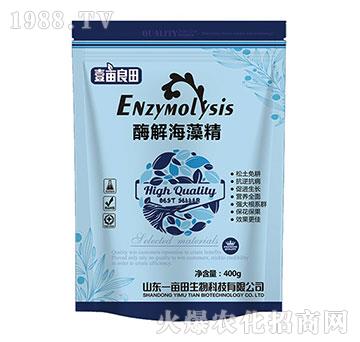 ø�⺣�徫-Ҽ������