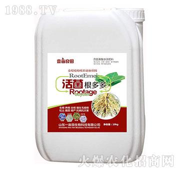 �������ࣨ10kg��-Ҽ������