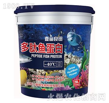 �����~����-Ҽ������