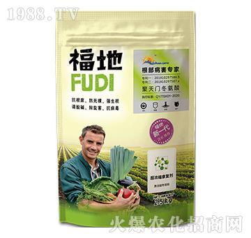 ����-�����S��