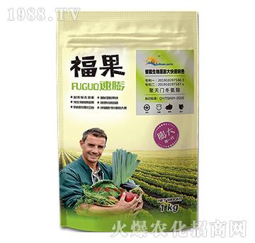 ����-�����S��