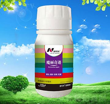 ħ�����E-�Z���S