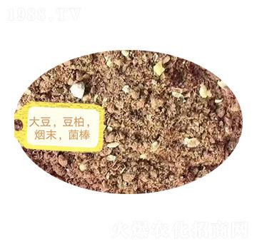 �������ء���ĩ��������-�Z�M�}