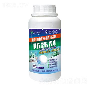 ֲ�￹��������-Ӣ���~��(r��n)