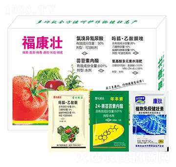 ������-�滯���h