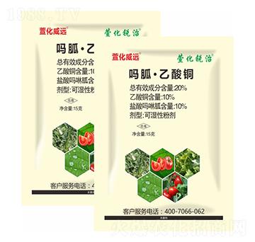 20%���ҡ������~-��