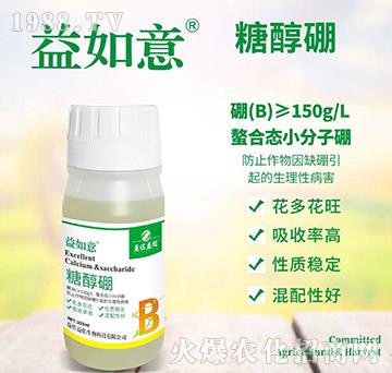 �Ǵ���-������-��������