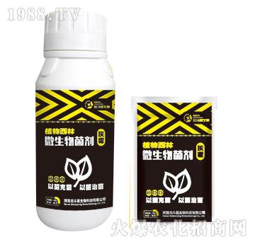 ��ù��(zhu��n)��΢�������-ֲ������-������