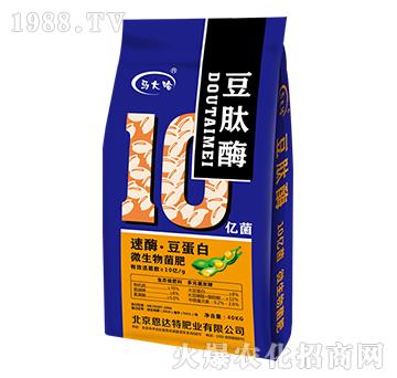 ΢�������10�|����-