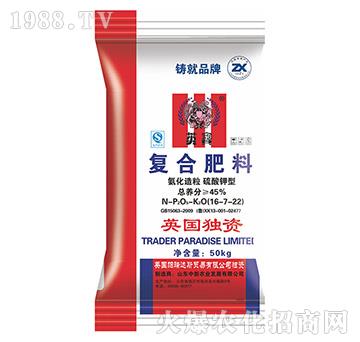 ��������������͏�(f��)�Ϸ�