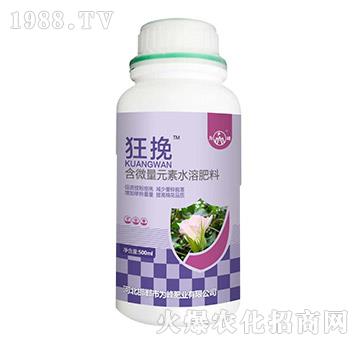 ��΢��Ԫ��ˮ�ܷ���-��