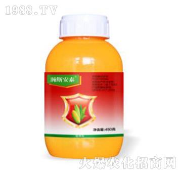 68%�Ҳݰ���ݬȥ�򡤵�����-�˹��̩-�˹����