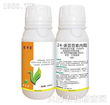 24-���|̦�؃���-�|�S��