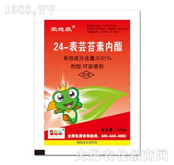 24-���|̦�؃�(n��i)��-��(��i)