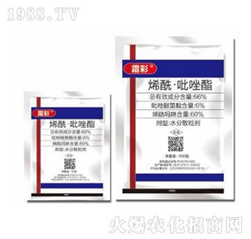 66%ϩ����������-˪��-�|������