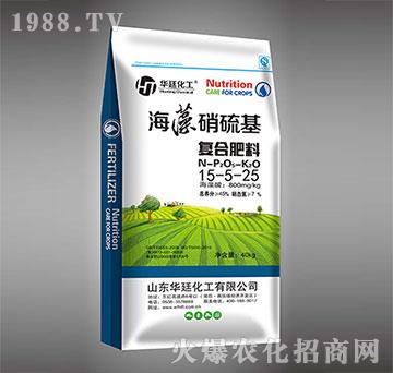 ���������15-5-25��(f��)�Ϸ���-�A͢����