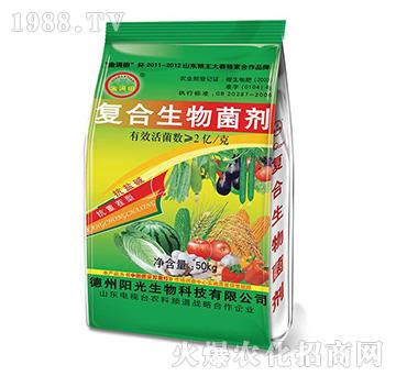 ��M���(f��)������������G��-ꖹ�����