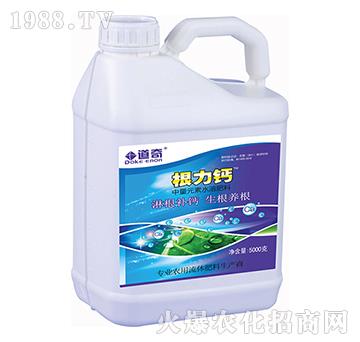 �����}-����