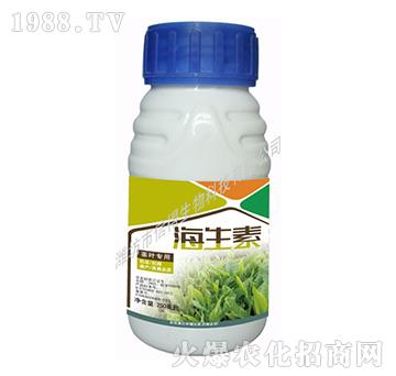 ���~����-������-�ŵ�