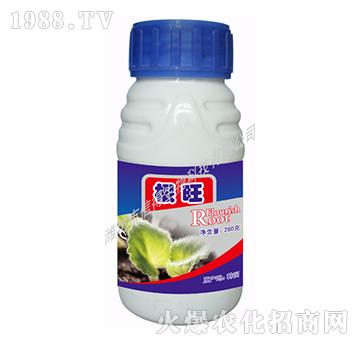 ����-�ŵ�