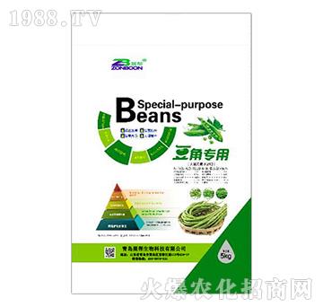 ���ǌ���-չ������