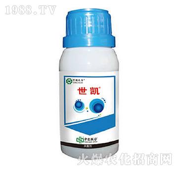 10%���Ѽ׭h(hu��n)��-���P-���r(li��n)��