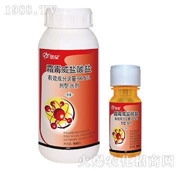 66.5%˪ù���}���}-����