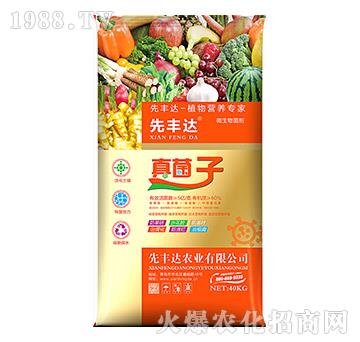 ֲ��I�B(y��ng)����-�����-���S�_