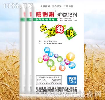 �V�����-���İ���-����-�S���r(n��ng)�I(y��)