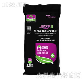 ���Z�l(f��)��΢�������-�g���o�޺ϼҚg-����ɭ