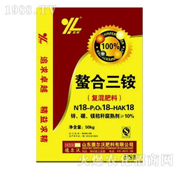 ��������-���-� ���