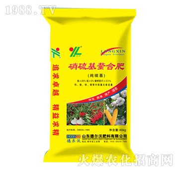 ��������Ϸ�-���-� ���