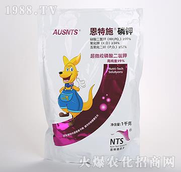 ��΢����������-����ʩ���