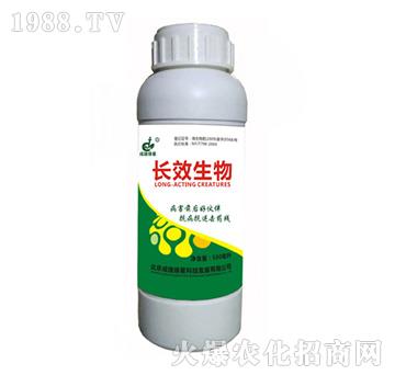 �LЧ����-�ɽݾG��