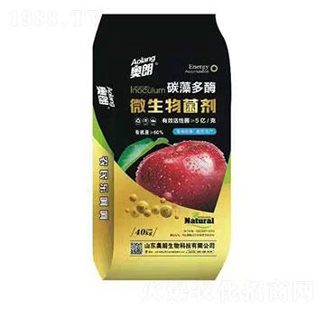 ̼���ø΢�������-�W������